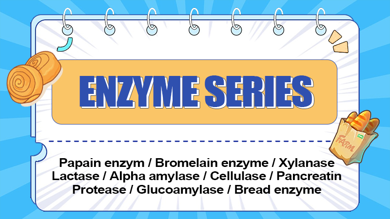 Enzyme products